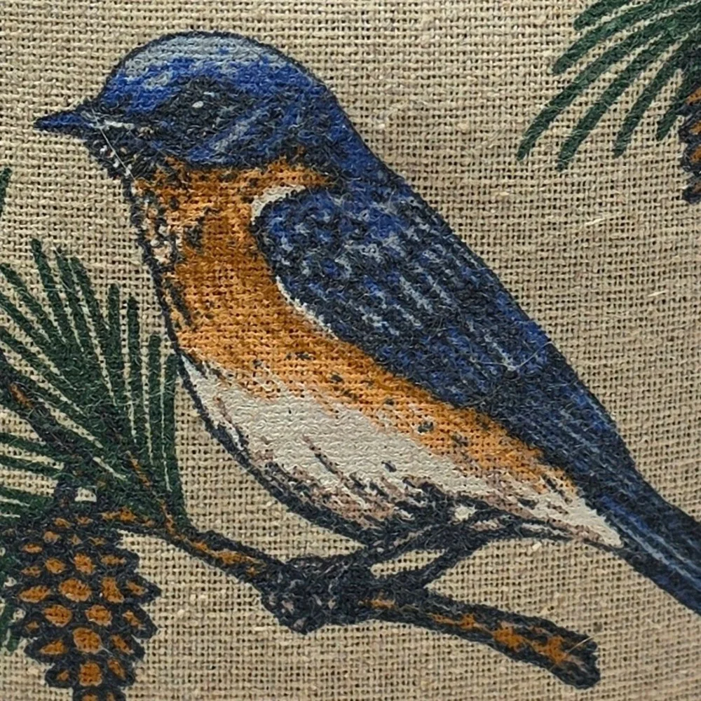 Eastern Bluebird Balsam Fir Pillow Paines Pine Sachet Scented Potpourri 6